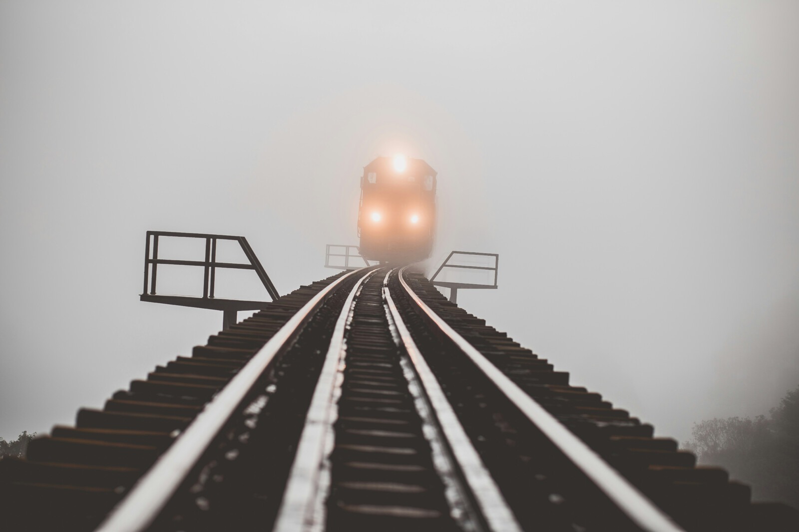 guilherme-stecanella-opNIQ-bx_4M-unsplash-cleaned